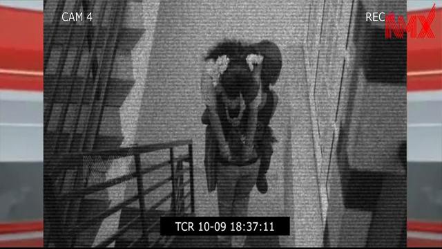 Bad Chemist Roy Ep 1 – 2025 Nmxseries – Nila Nambiar Malayalam Series